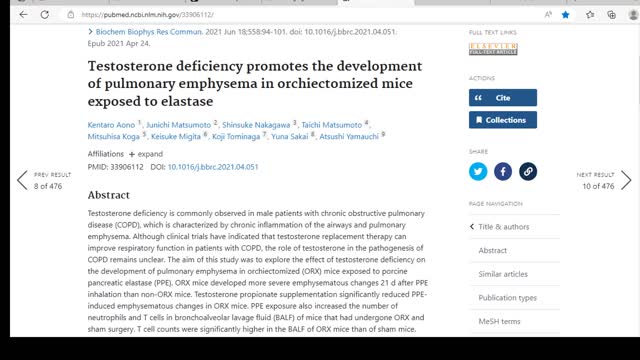 Testosterone deficiency promotes emphysema-like changes in mice