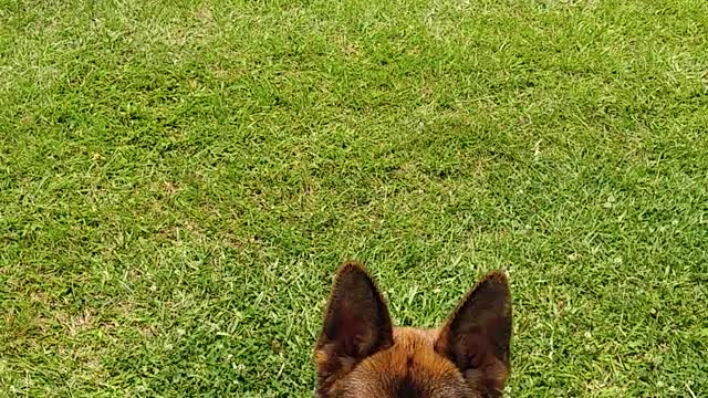 Jules playing at the pond house part 2