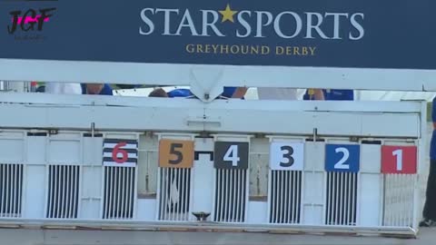 Greyhound dog racing - Track race 480m