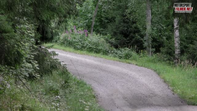 WRC Rally Finland 2019 - Motorsportfilmer.net