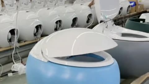 New toilet