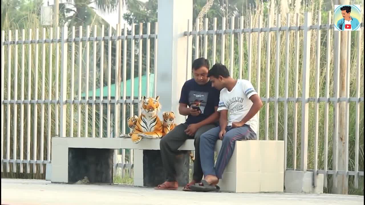 Fake tiger prank