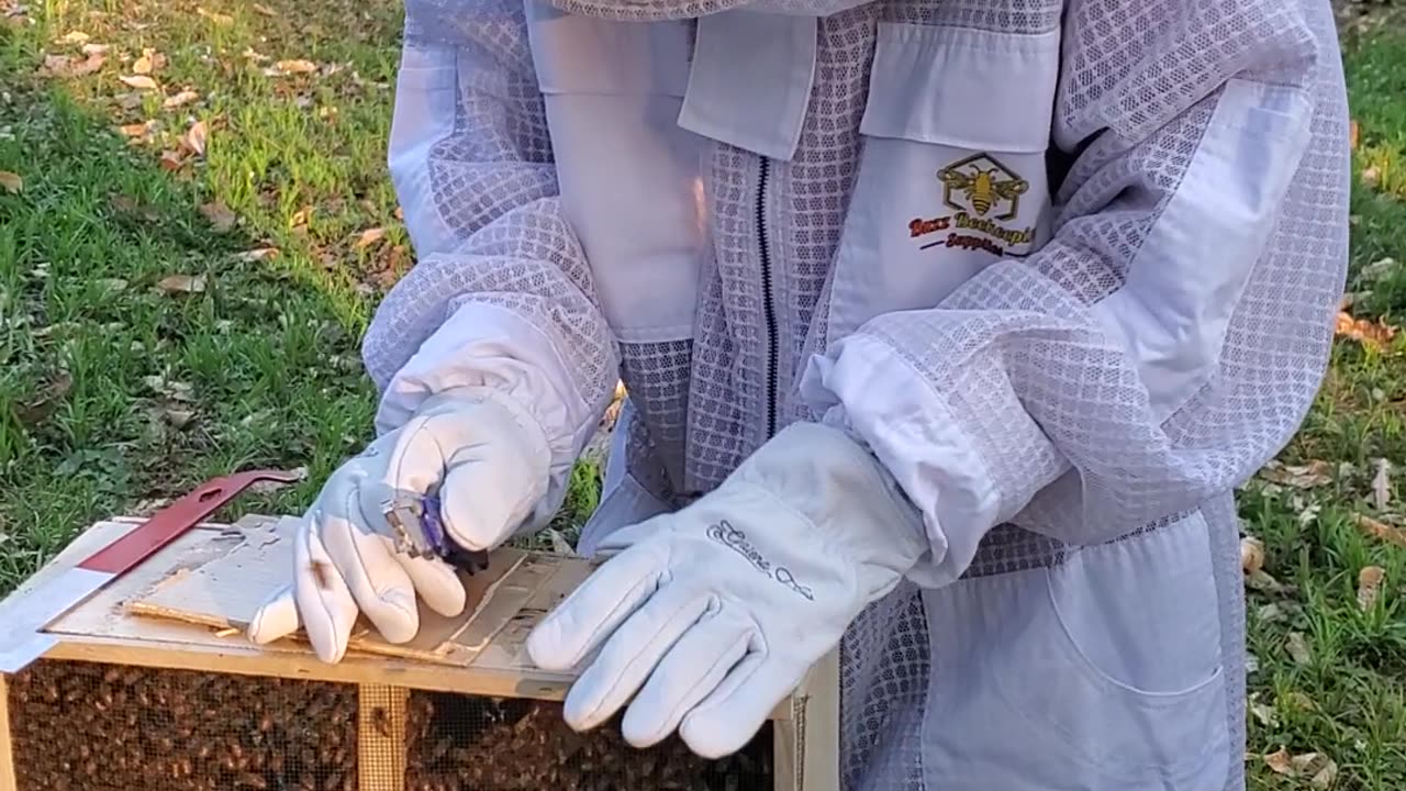 Seth Installing package of bees