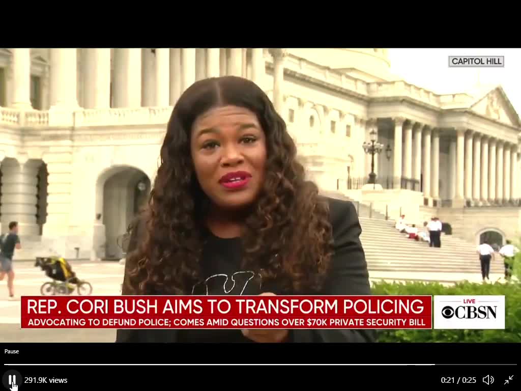 Face of Liberal Insanity: Cori Bush needs security, but you don't.