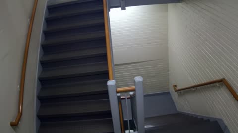 3893FHOB05Stair6_2021-01-05_00h40min00s400ms.mp4
