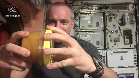 Honey in space