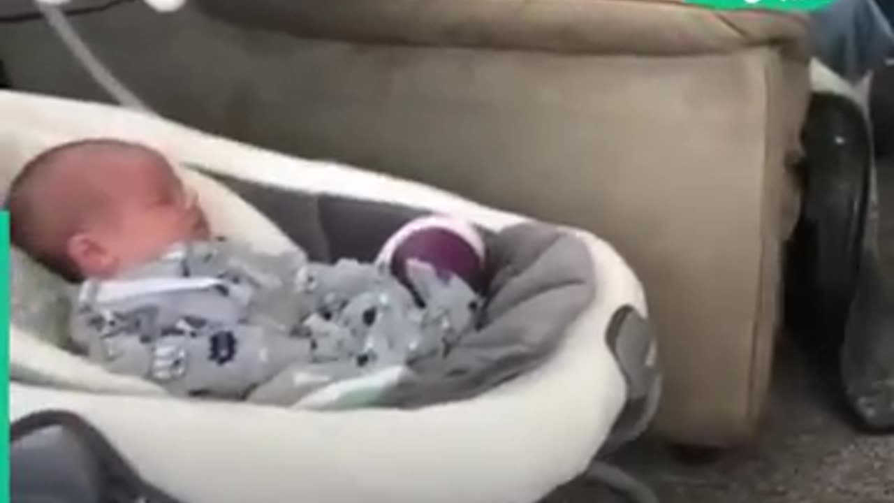 Dogs and Babies 💕