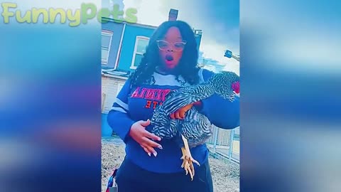 funny animal videos