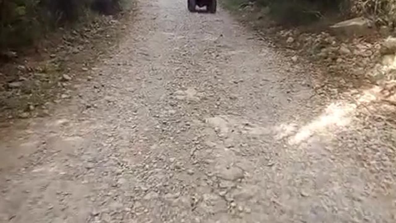 Hoje a trilha foi de quadriciculo