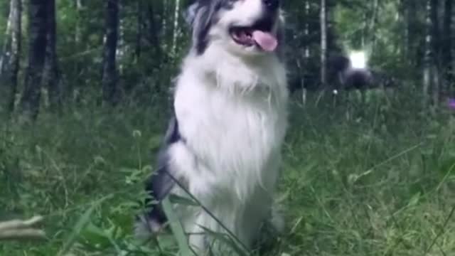grass is life