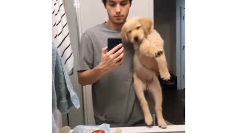 Watch this puppy grow