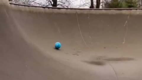 @Funny Perfect Throw. 😂