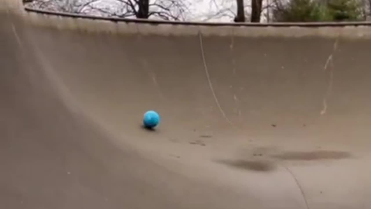 @Funny Perfect Throw. 😂