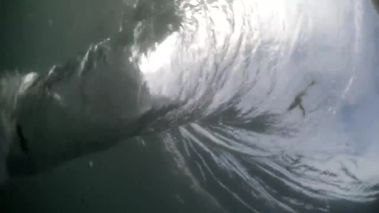 Swimming with a Whirlpool! (Ocean Whirlpool)