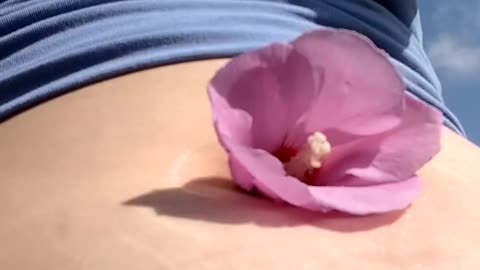 LAURIE MANE - NAVEL FLOWER | PINK FLOWER WORN IN HER BELLY BUTTON | CHUBBY WHITE GIRL WITH BELLY BUD