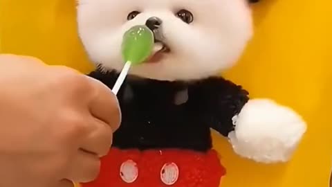 DL Panda Viral videos ON Internet