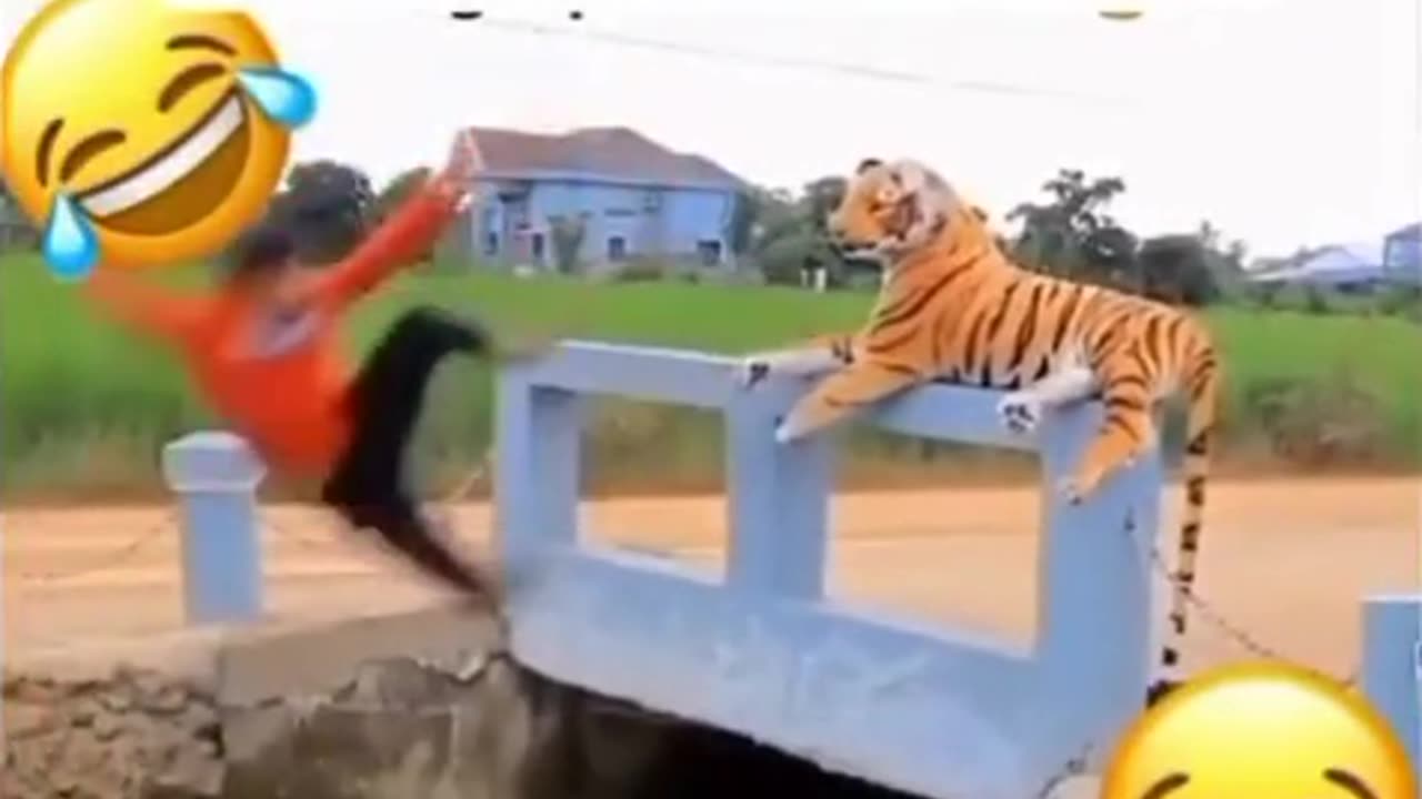 Toy lion prank funny video