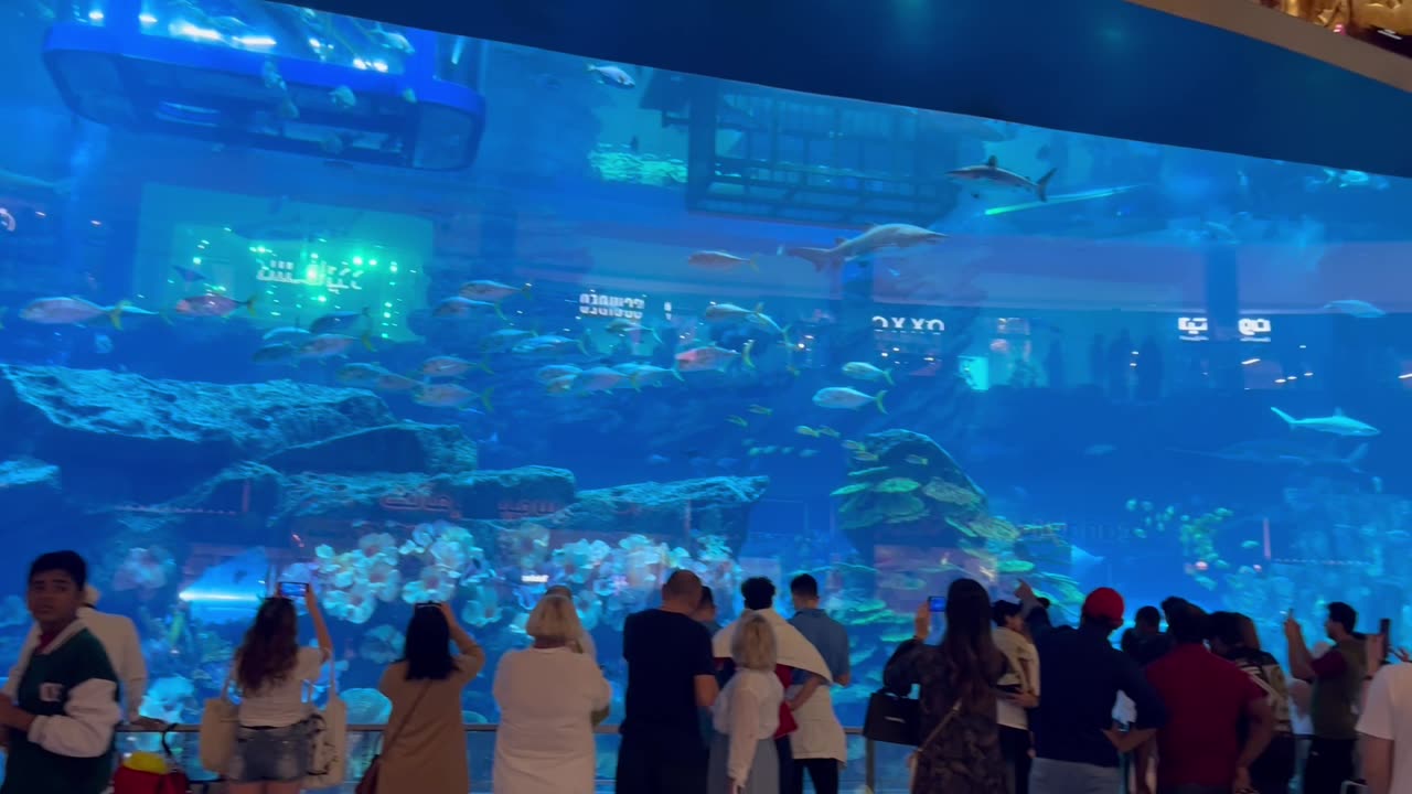 Beautiful DUBAI MALL AQUARIUM / Fun and entertainment visit 😍👌👌👌