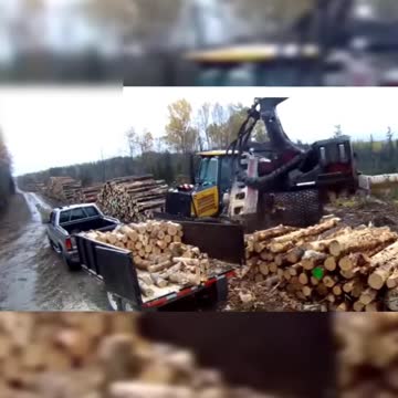 Awesome Dangerous Tree Cutting Machine Techshahin24