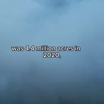 If you are wondering why its so smoky!