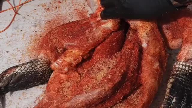 Smoked Reaper Gator #gator #alligator #bbqtiktok #bbqfood #viral