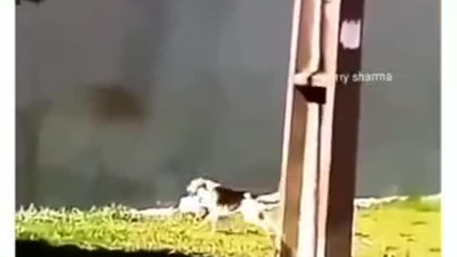 Never Give up💪❤️