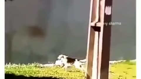 Never Give up💪❤️