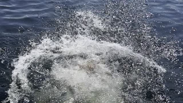 Life Jacket Diaper Trick for Drinks in the Lake