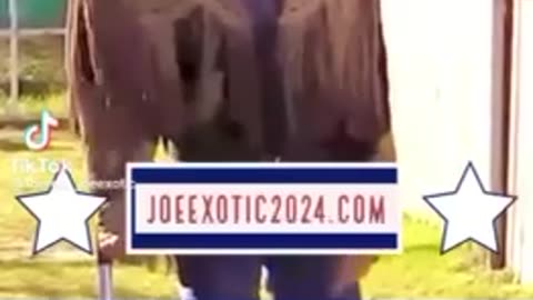 #FixThisShit | Joe Exotic 24 Campaign Ad