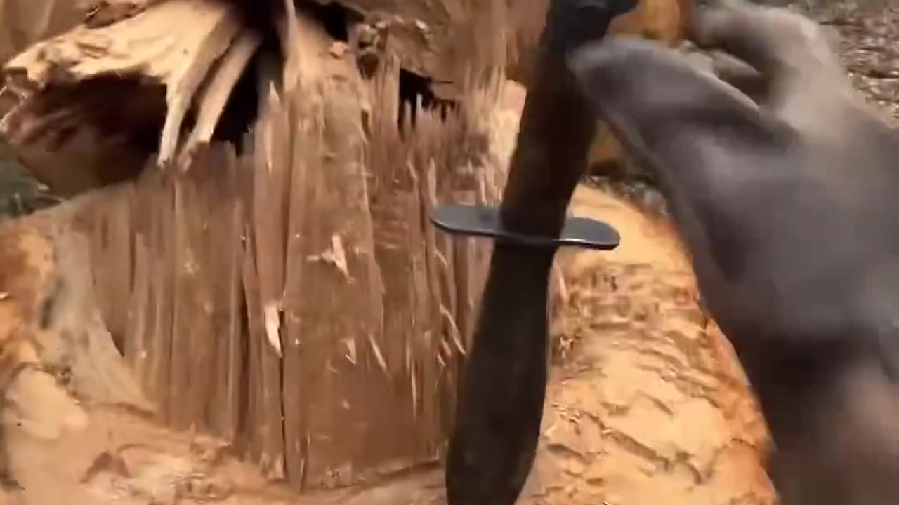 Building a Log Cabin by Hand Part 5 #cabin #logcabin #woodworking #bushcrafter #tree #axe #outdoors