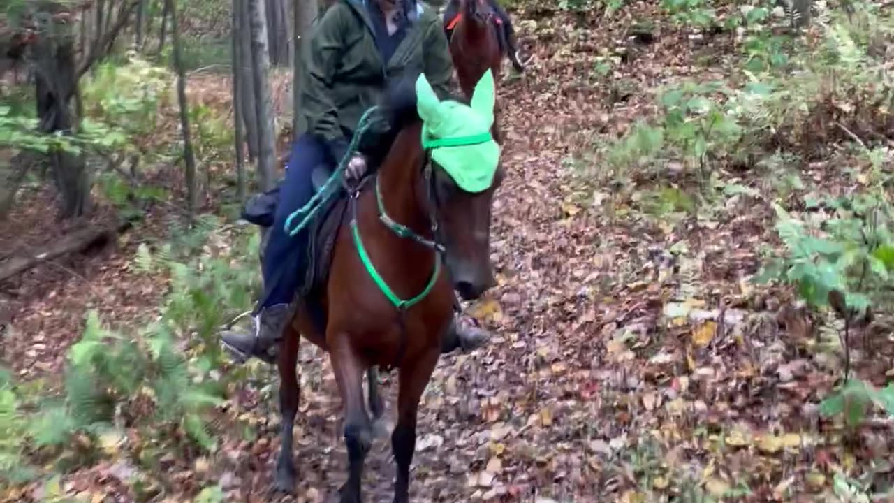 Little Twinkle Toes Was All Fired Up for the Trail Ride