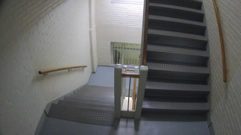 3883FHOB03Stair7_2021-01-06_03h52min39s397ms.mp4