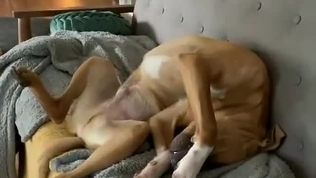 Comfy