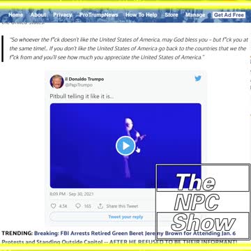 What Pitbull And I Have In Common 🟠⚪🟣The NPC Show