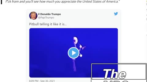What Pitbull And I Have In Common 🟠⚪🟣The NPC Show