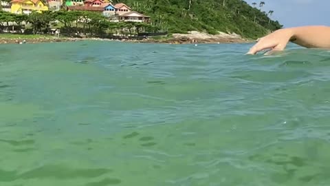 Curtindo uma tarde na praia de Quatro Ilhas, Bombinhas - SC | Som Ambiente