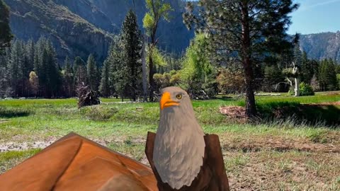 Queen Bella's Beautiful World