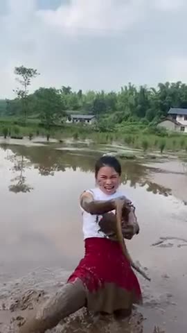 WHAT'S FOR DINNER HONEY?