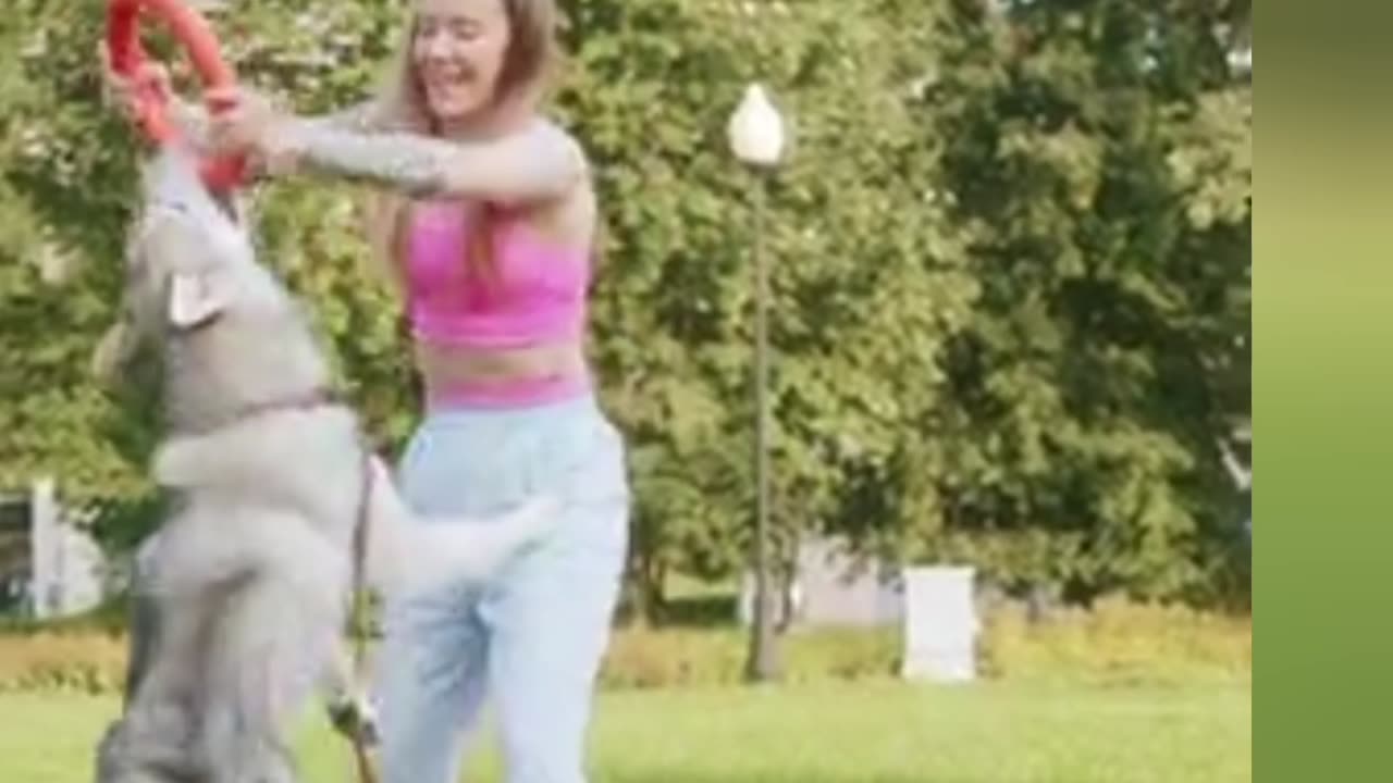 Funniest playing 🐕🐕🐕🐕