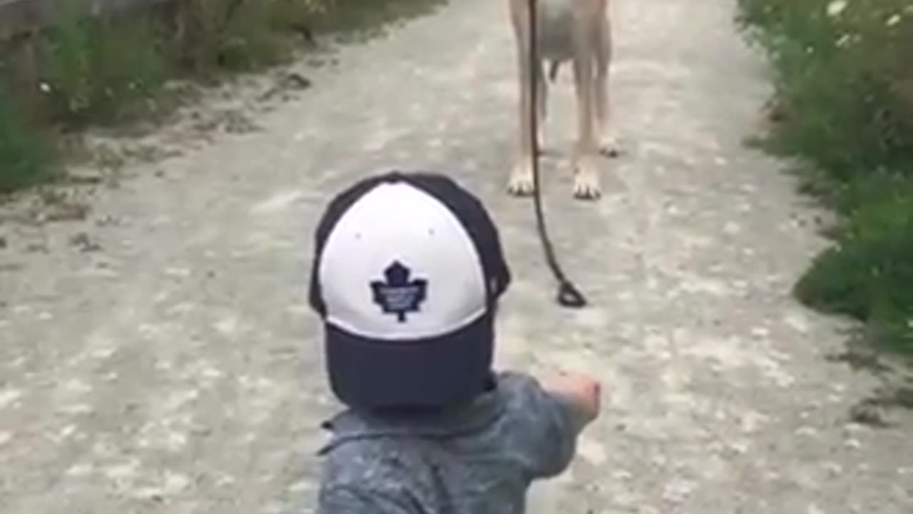 Dog follow the Little Kid