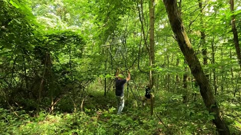 Treestand Setup 2023 Part One