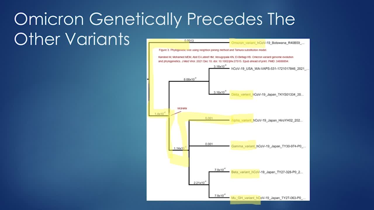 The absurdity of the covid vaccine is getting worse