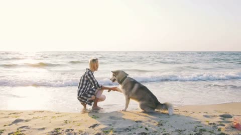 Young female playing with siberian husky dog on the beach at sunrise