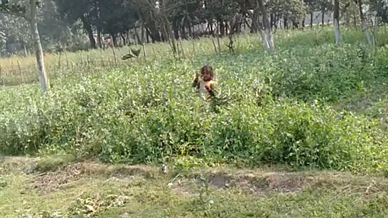 Small child enjoy in field