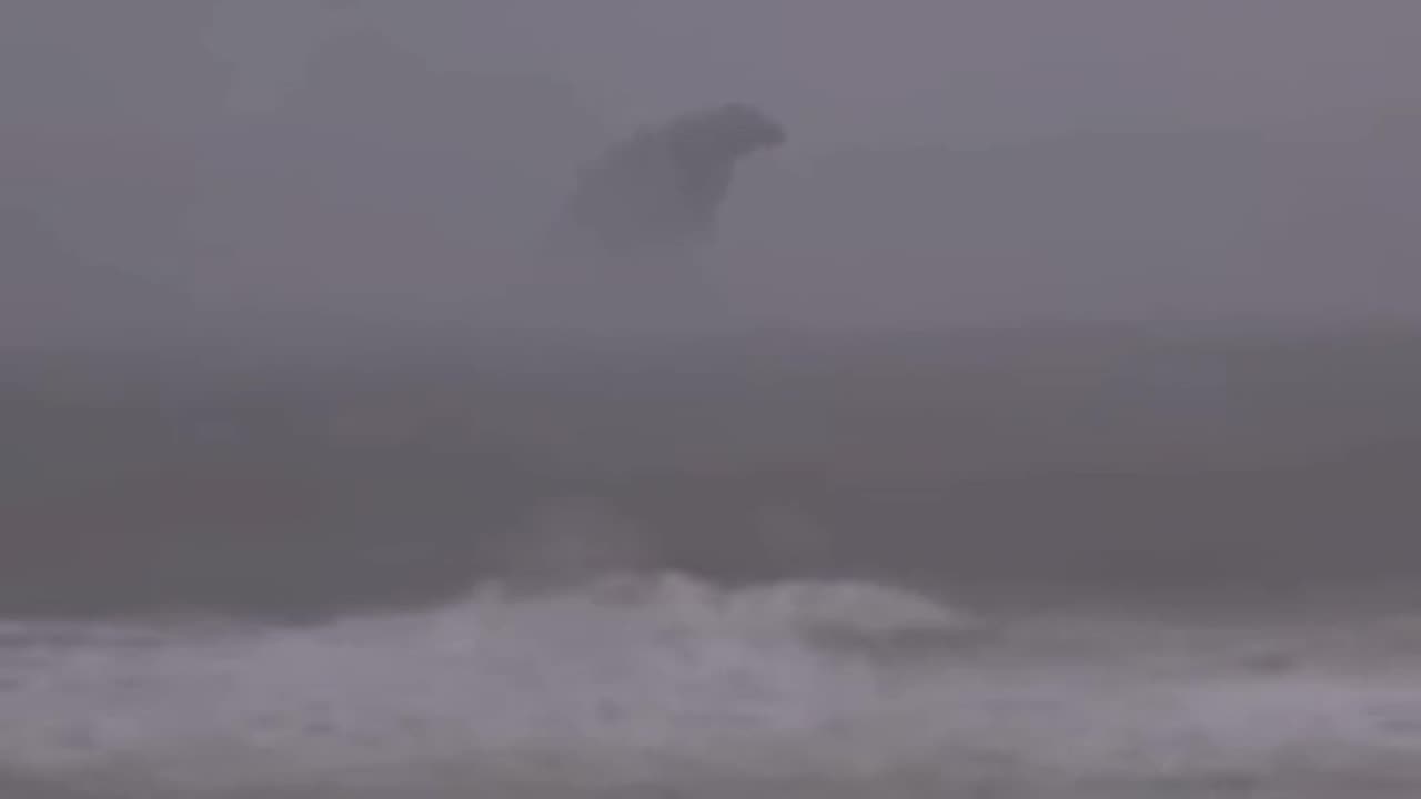Mythical Creatures caught on camera 😨
