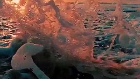 Feel The Music Nature Video Status Instagram Reels Nature Whatsapp Status #shorts