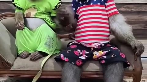 Baba Bana Para Ver
