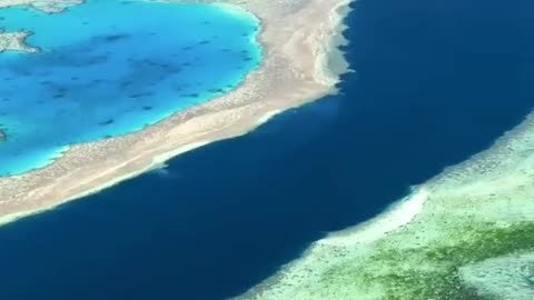 KAUM ZU GLAUBEN- Es gibt gute noch Nachrichten - WELT #Shorts