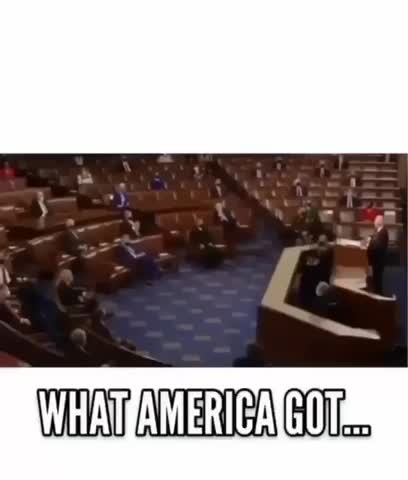 WHAT AMERICA 🇺🇸 WANTED🐸WHAT AMERICANS GOT‼️