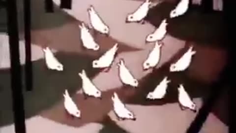 Ek chidiya ki kahani kid song